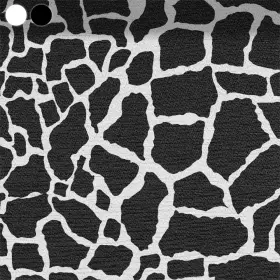 Schwarz Weiß Safari