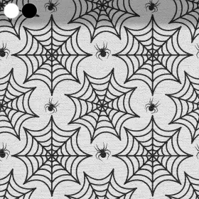 Spiderweb and Spider