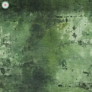 Weathered Wall Look Green 2