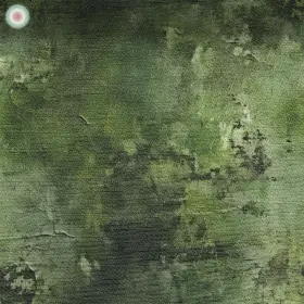 Weathered Wall Look Green 5