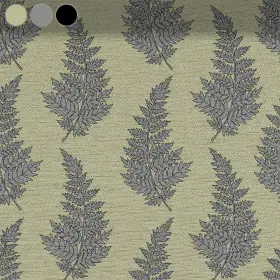 Grey Fern Leaves on Olive