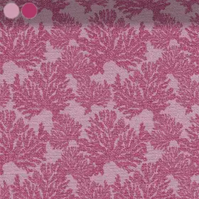 Filigrane pinke Korallenstrukturen