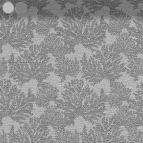 Filigree Grey Coral Structures