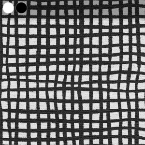 Black Grid on White