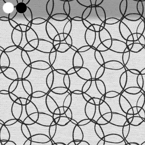 Black-and-White Circle Connections