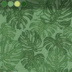 Green Monstera Leaves