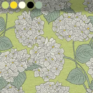 Hydrangea Blossom on Light Green