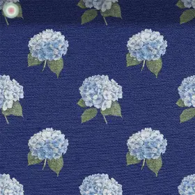 Hydrangeas on Blue