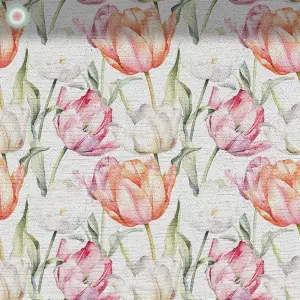 Delicate Tulip Splendor