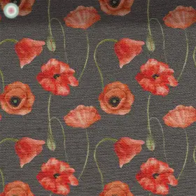 Red Poppy on Grey