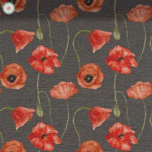 Red Poppy on Grey