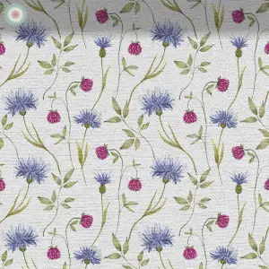 Blossom Splendor on White