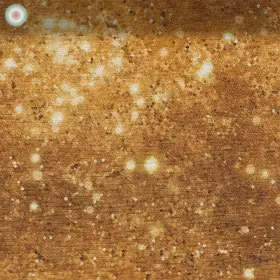 Golden Glitter Play 3