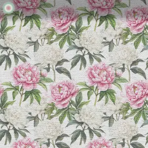 Pfingstrosen auf Weiß