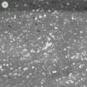 Graues Punktspiel 5 Graues Punktspiel 5